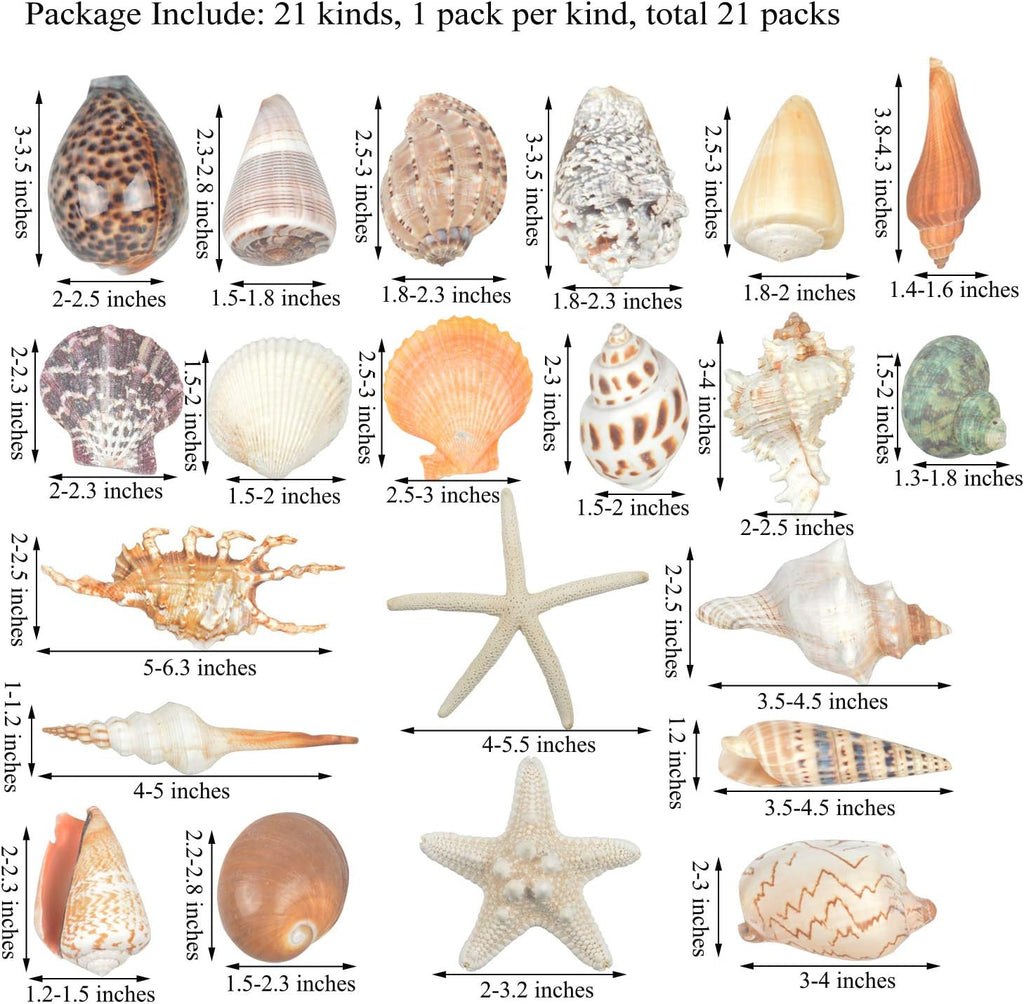 Jangostor 21 PCS Large Sea Shells Mixed Ocean Seashells, Various Sizes Natural Seashells Starfish Conch for Beach Theme Party, Home Decorations, DIY Crafts, Vase Filler Fish Tank Decorations
