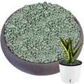 11 lbs Succulent and Cactus Bonsai Pebbles, 6-9mm Decorative Landscaping Stones Natural Garden Gravel Rocks for Indoor Outdoor Plants Aquariums DIY, and Gardening Top Dressing, Green Zeolite