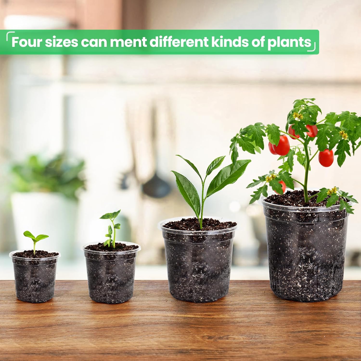 36 Packs 6.7/5/4/3.5 Inch Reinforced Clear Nursery Pots with Drainage Hole, Transparent Variety Pack Plastic Plant Pot Seedling Planter for Vegetable Propagation, Root Cutting, Seed Starting