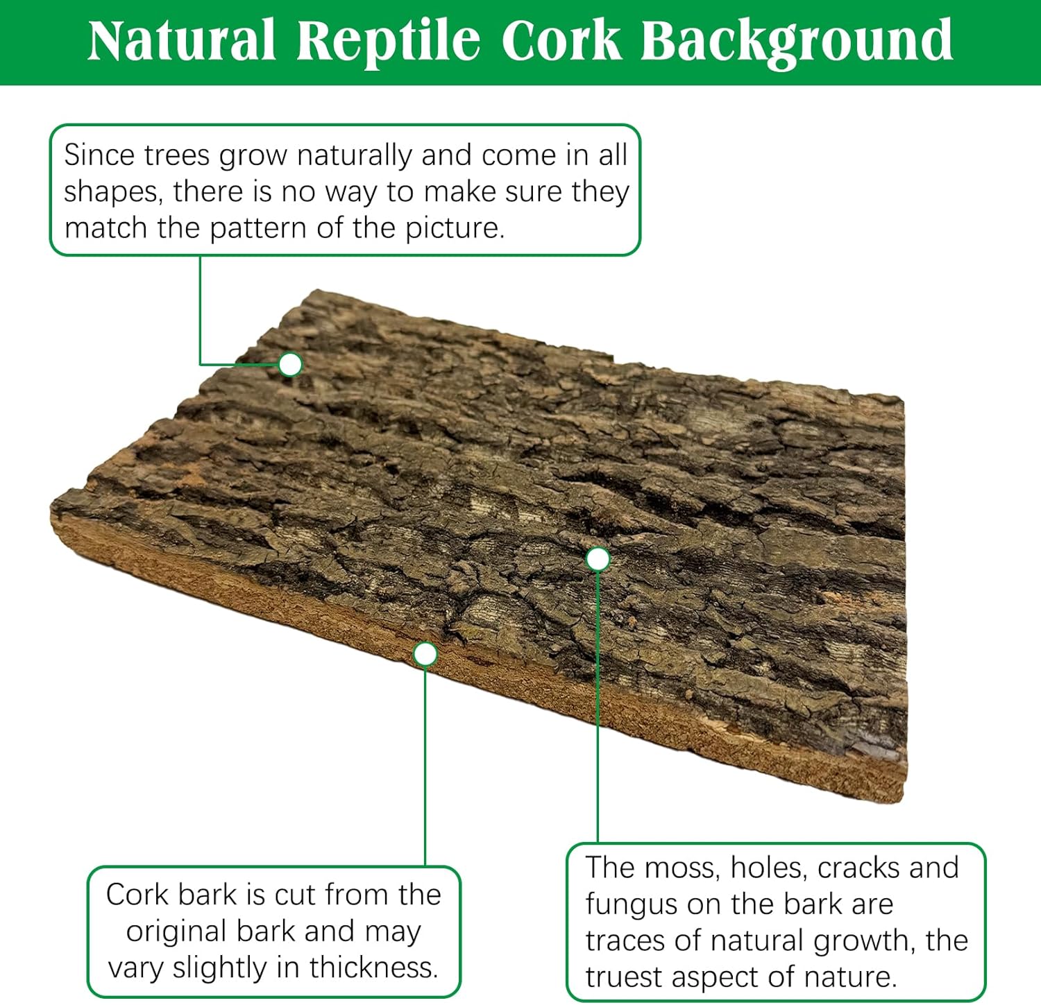 kathson 2PCS Thicker Cork Tile Background Bark 11.8”Lx7.9”Wx0.7”H Reptile Tank Backgroun Terrarium Background Natural Reptile Climbing Mat for Spider Gecko Lizard Chameleon Bearded Dragon Turtle Snake
