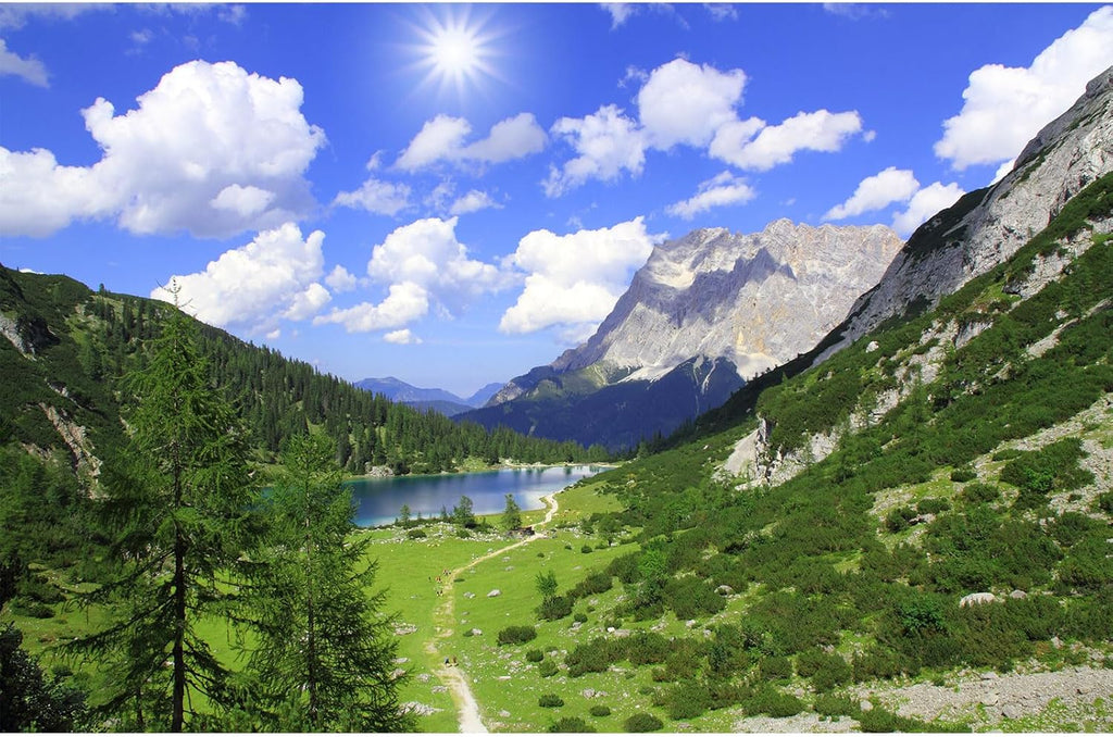Mountains Aquarium Background Green Gobi Plants Pine Tree Terrarium Background Tranquil Lake Blue Sky Sunbeam with Cloud Fish Tank Background Mountain Theme Reptile Habitat Background 72x24in