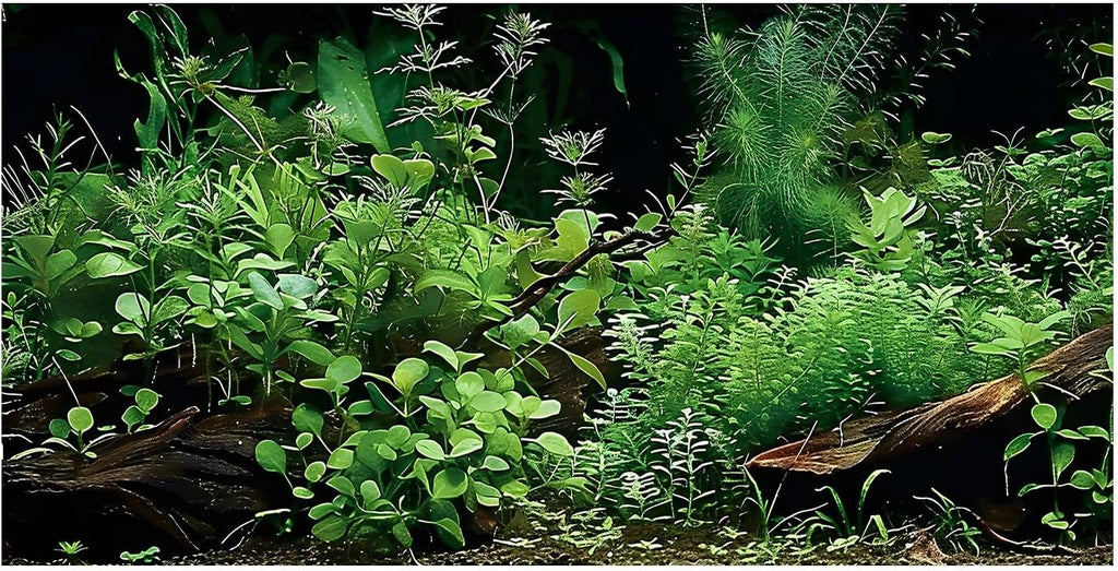 Aquatic Plant Aquarium Background, River Bed & Lake Tropical Undersea Tree BranchFish Tank Background, 6 EVA Double-Sided Tapes 36x18 inches/90x45