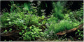 Aquatic Plant Aquarium Background, River Bed & Lake Tropical Undersea Tree BranchFish Tank Background, 6 EVA Double-Sided Tapes 36x18 inches/90x45