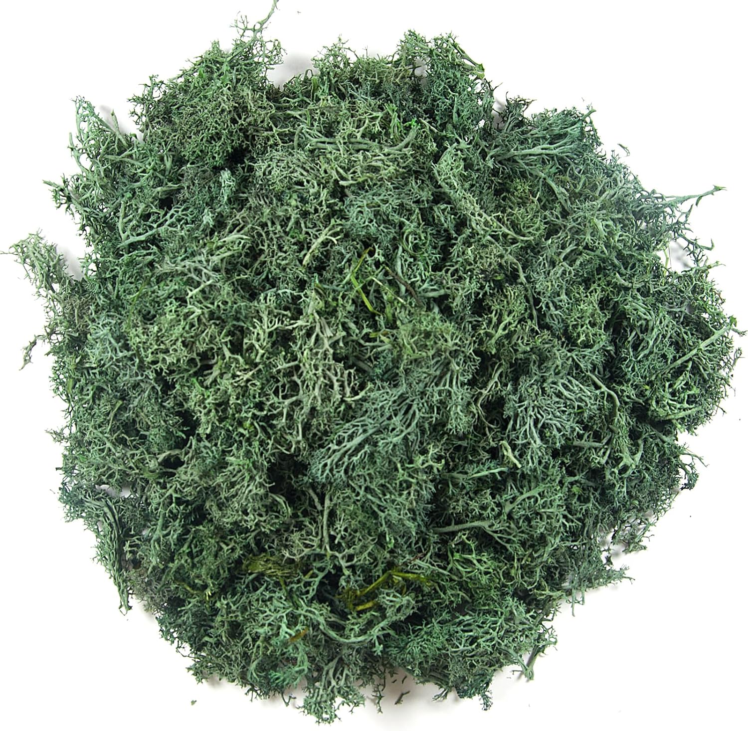 3.5 oz Artificial Moss for Plants Indoor, Fake Preserved Reindeer Moss for Centerpieces Home Decor Potted Plants Crafts Wedding Wall Decor(Grass Green)