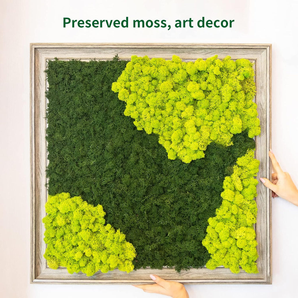 TurelinnG Preserved Moss 3 OZ Reindeer Craft Moss, Fake Moss Suitable for Flowerbeds, Crafts, Home Office Artistic Decoration Green