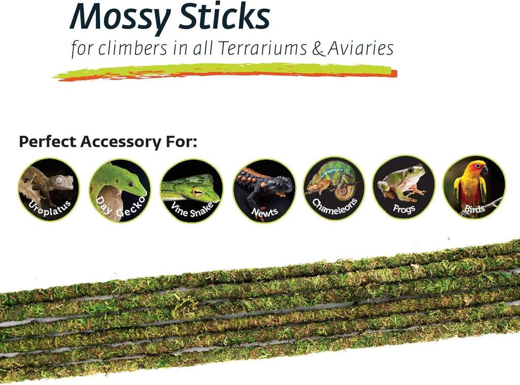 Galápagos (05320) Mossy Terrarium Sticks 18" (Pack of 6)