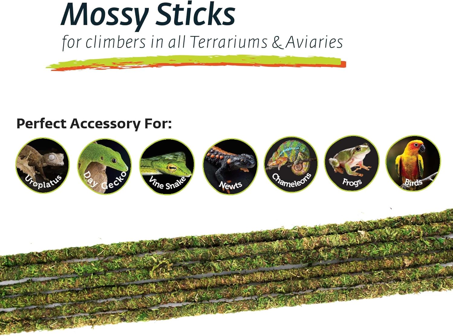 Galápagos (05320) Mossy Terrarium Sticks 18" (Pack of 6)