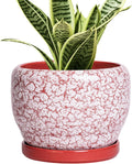SQOWL 6 Inch Plant Pot - Ceramic Planter for Indoor Outdoor, Round Decorative Plant Pot with Drainage Hole and Saucer, Small Flower Planter, Home Balcony Decor, Gifts for Women Men, Red and White