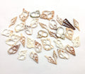 PEPPERLONELY 30PC Center Cut Assorted Mixed Small Sea Shells, 1 Inch ~ 1-1/2 Inch