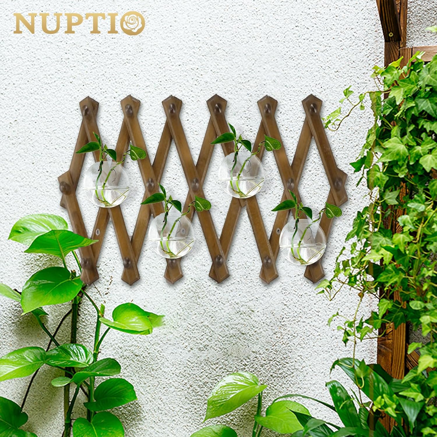 NUPTIO Wall Hanging Planters Terrarium: 4Pcs Clear Glass Wall-Mounted Vases for Indoor Office Garden Living Room - Oblate Plant Pots Hydroponic Containers Propagation Stations for Flowers