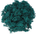 uxcell Preserved Reindeer Moss, 17.6oz Fake Moss for Crafts Artificial Dried Moss for Decoration Terrariums Potted Plants, Blue Green
