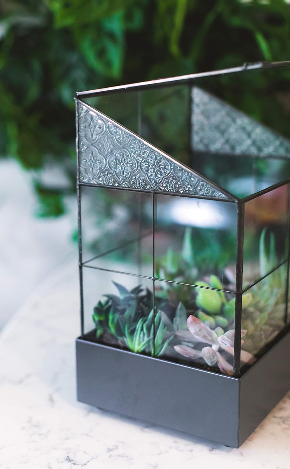 H Potter Glass Terrarium for Plants Wardian Case Succulent Planter War160