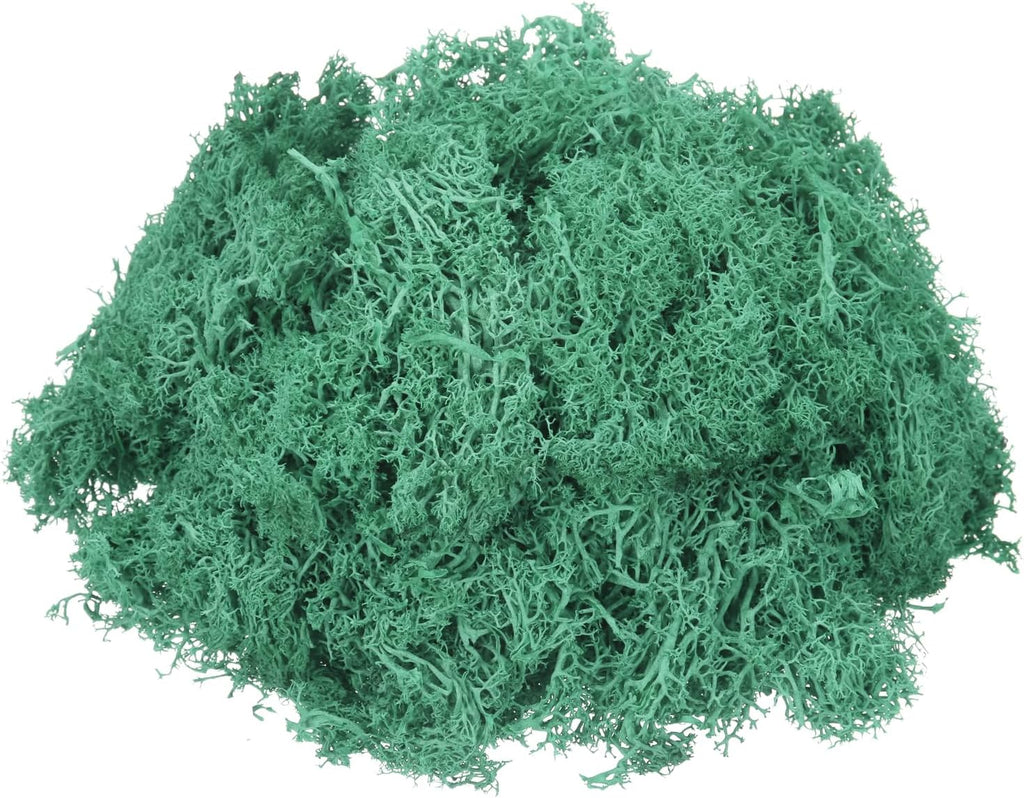 MECCANIXITY 3oz Preserved Reindeer Moss, Cyan Decorative Artificial Fake Moss for Potted Plants Indoor Crafts Lichen Centerpieces Decor
