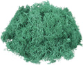 MECCANIXITY 3oz Preserved Reindeer Moss, Cyan Decorative Artificial Fake Moss for Potted Plants Indoor Crafts Lichen Centerpieces Decor