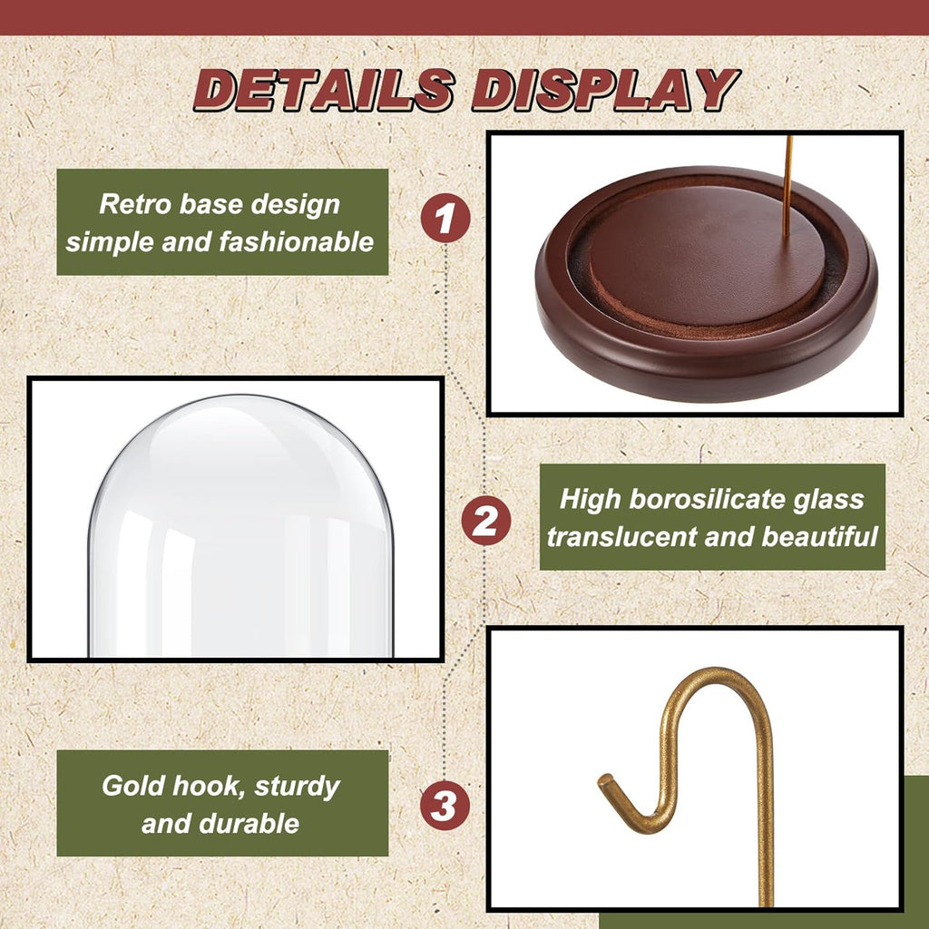 2 Pcs Pocket Watch Glass Display with Hooks Dome Cloche with Wood Base Decorative Glass Display Dome Showcase for Watch Plants Medals Photos Collectibles Dark MDF Base(4" X 7",Gold Hook)