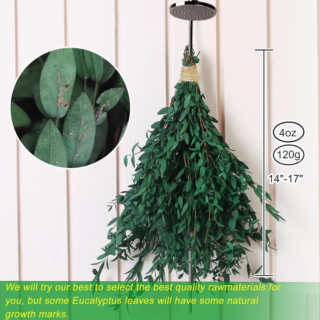 20+ Small Branches Dried Eucalyptus Preserved Greenery Stems, 7-14 Pcs 17'' 4oz Natural Real Eucalyptus Bundles for Shower, Green Leaves Plant for Arrangement, Wedding, Home, Office Decor