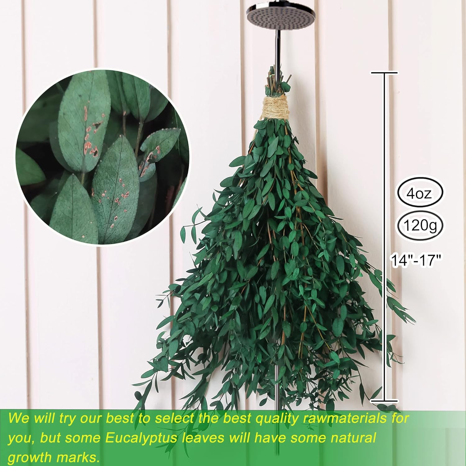 20+ Small Branches Dried Eucalyptus Preserved Greenery Stems, 7-14 Pcs 17'' 4oz Natural Real Eucalyptus Bundles for Shower, Green Leaves Plant for Arrangement, Wedding, Home, Office Decor