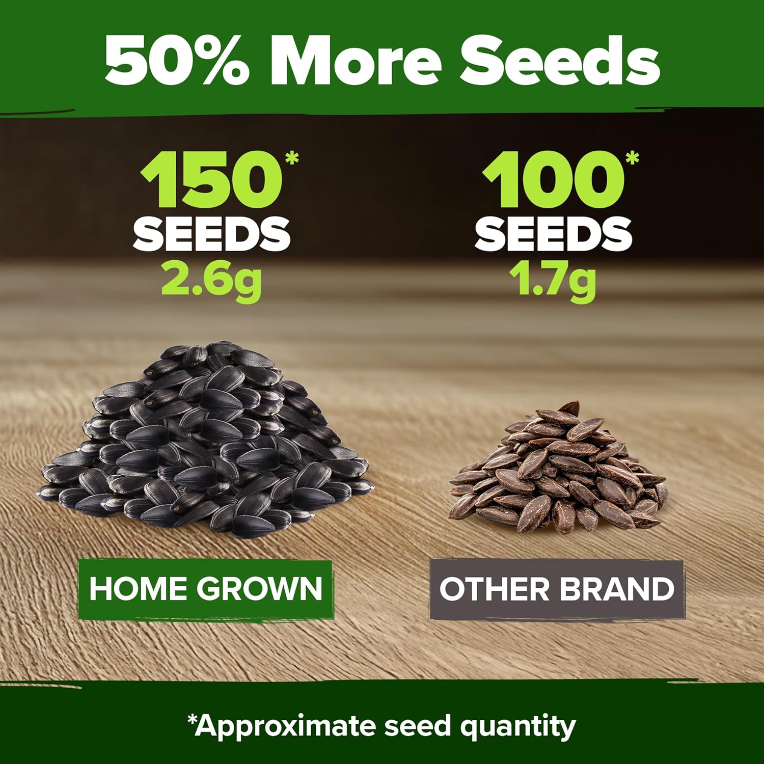 HOME GROWN Chocolate Cherry Sunflower Seeds – 150 Heirloom Non-GMO Seeds – Burgundy Sunflowers for Planting – Tall Garden Flowers That Attract Pollinators & Butterflies (Helianthus annuus)