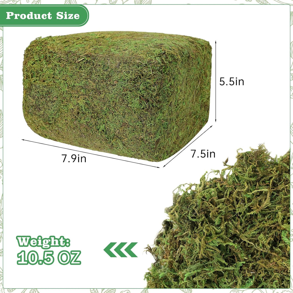YUNVI 10.5 OZ Large Capacity Artificial Moss for Potted Plants,Natural Fake Moss Grass for Plants Indoor,Craft and Greenery Bulk for Hamsters(Fresh Green)