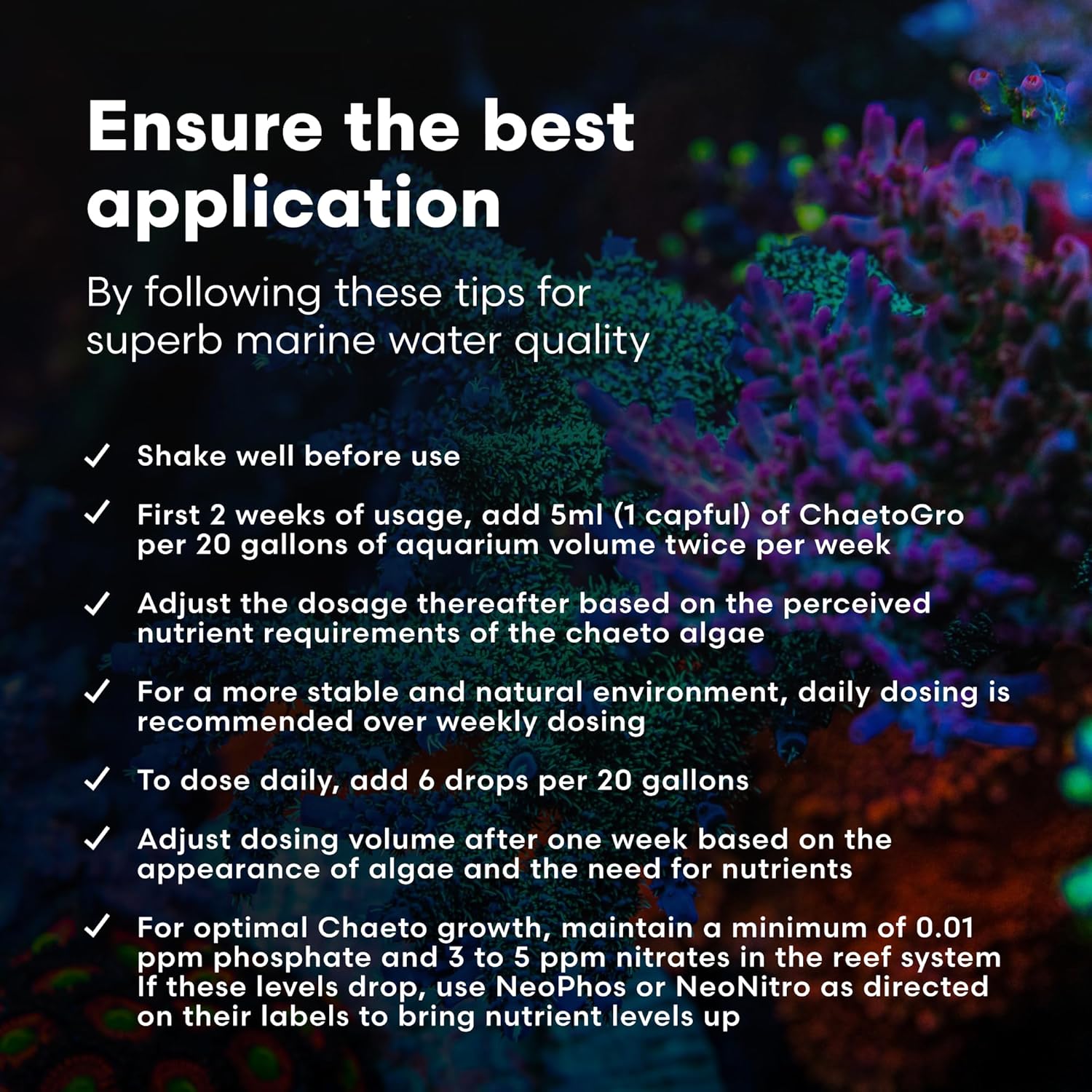 Brightwell Aquatics - ChaetoGro - Algae Nutrient Supplement for Chaetomorpha Growth in All Marine Fish Tanks - Multi-Nutrient Aquarium Water Treatments, 67.6 fl oz