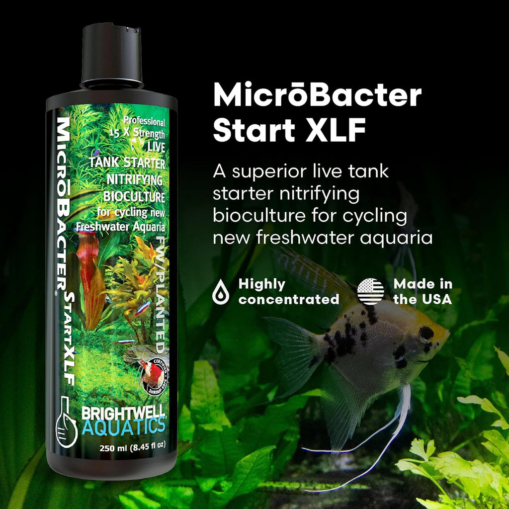 Brightwell Aquatics MicroBacter Start XLF - Concentrated Freshwater Nitrifying Bacteria - Quick Start Fish Tank Starter, Lift Microbe Levels & Water Filtering - Aquarium Water Treatments, 8.45 fl oz