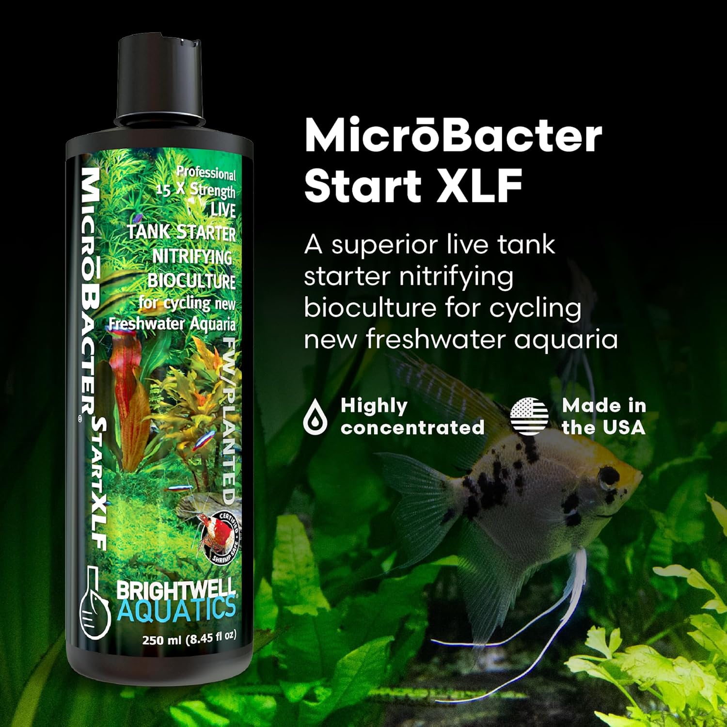 Brightwell Aquatics MicroBacter Start XLF - Concentrated Freshwater Nitrifying Bacteria - Quick Start Fish Tank Starter, Lift Microbe Levels & Water Filtering - Aquarium Water Treatments, 8.45 fl oz