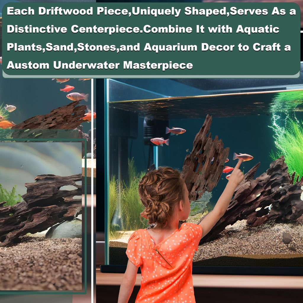 Natural Wood Driftwood for Aquarium Fish Tank Decor,Assorted Driftwood Trunk Branch for Reptile Tank Decor (SHP-XM Driftwood (14 to16 Inch)-Pack of 1)
