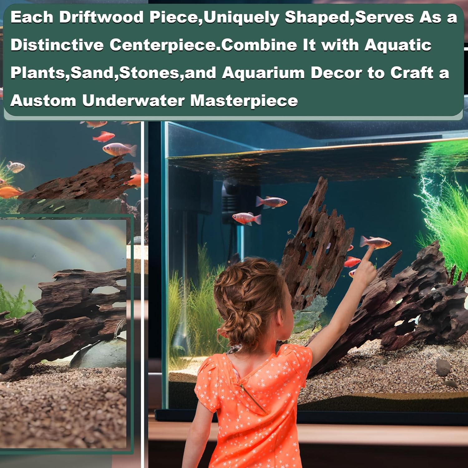 Natural Wood Driftwood for Aquarium Fish Tank Decor,Assorted Driftwood Trunk Branch for Reptile Tank Decor (SHP-XM Driftwood (14 to16 Inch)-Pack of 1)