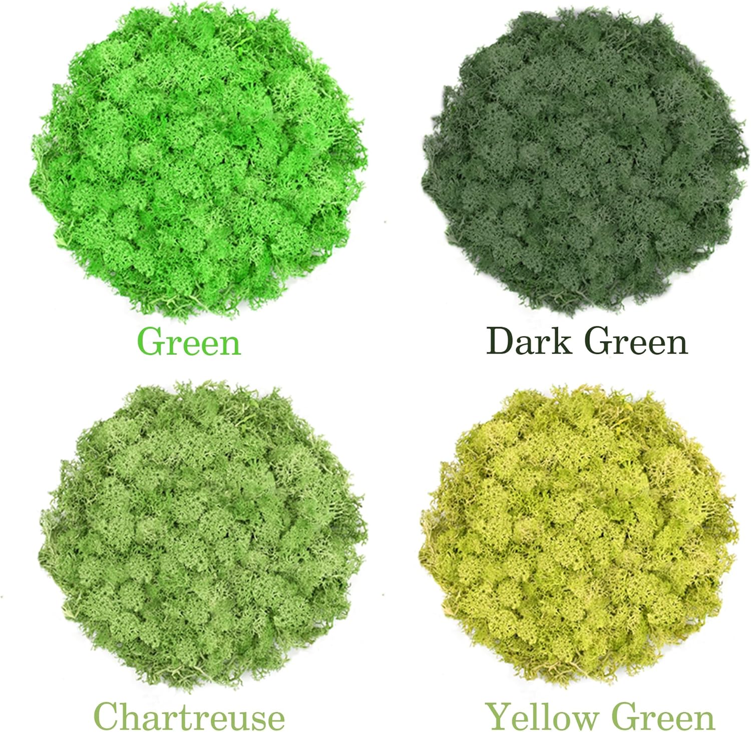 Preserved Reindeer Moss 14 OZ 4 Colors for DIY Gift, Potted Plants,Craft Decor,Wall Art,Festive Home Decorative Christmas(Green, Dark Green, Chartreuse and Yellow Green, Each Color 3.5 OZ)