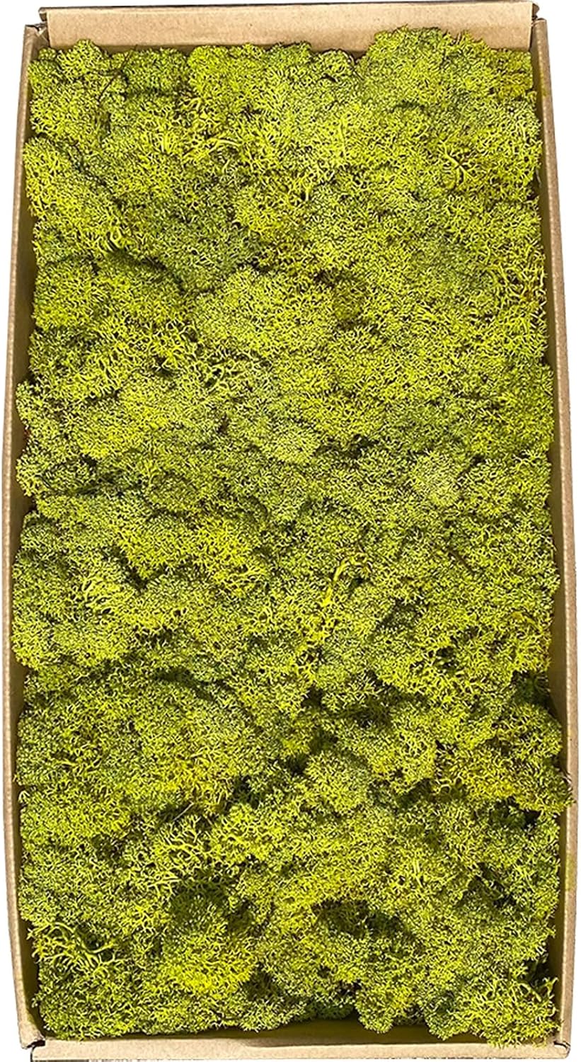Preserved 1.1lb Moss Artificial Moss Natural Fresh Green Moss for Craft Handicraft Arts Floral Project Wall Decor Table Decor Wedding Centerpieces Garden Terrariums Decoration