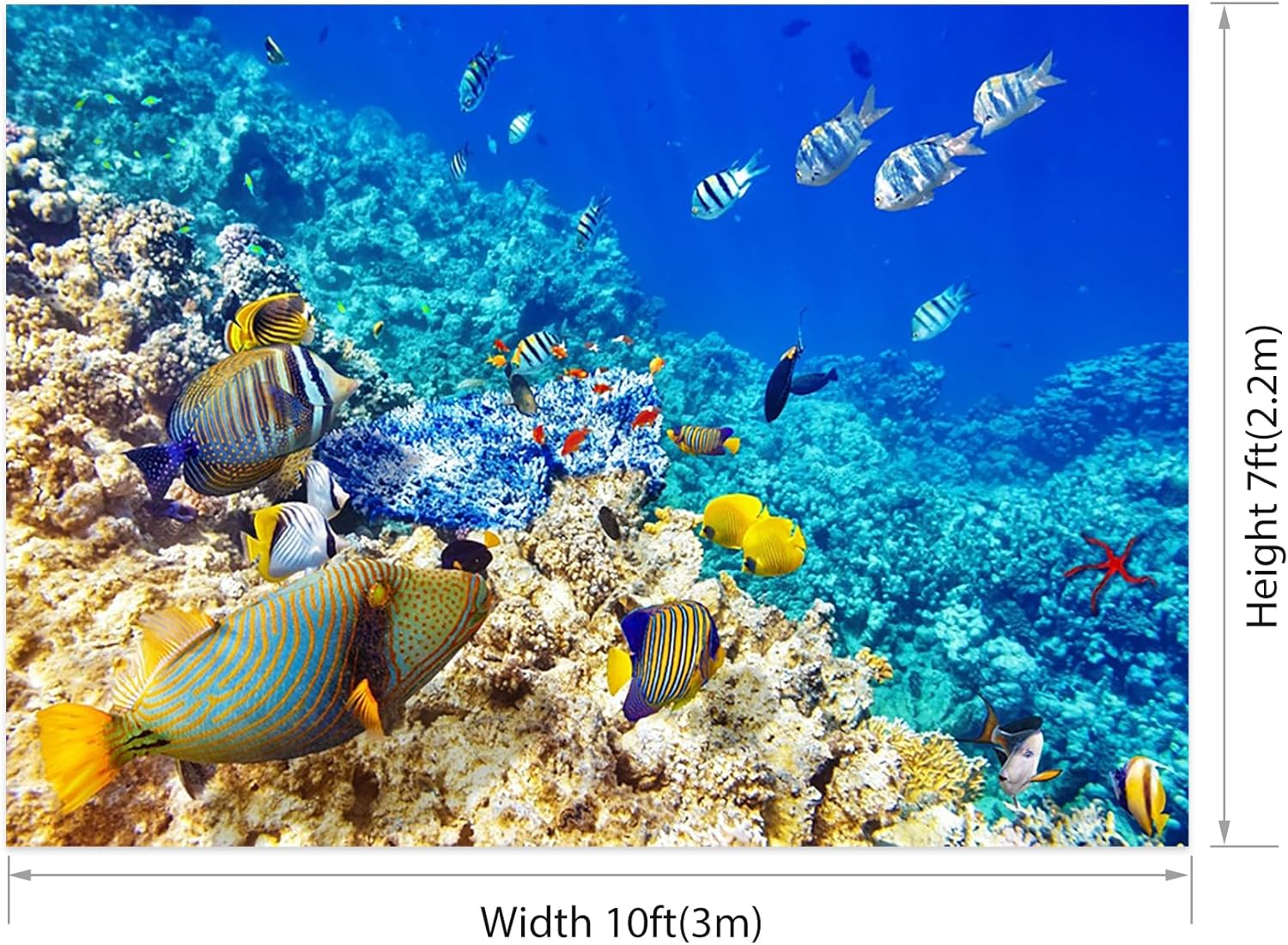 AOFOTO 10x7ft Coral and Tropical Fish in The Sea Backdrop Underwater Seascape Photography Background Marin Aquarium Ocean Diving Atoll Reef Summer Holiday Travel Photo Studio Props Vinyl Wallpaper