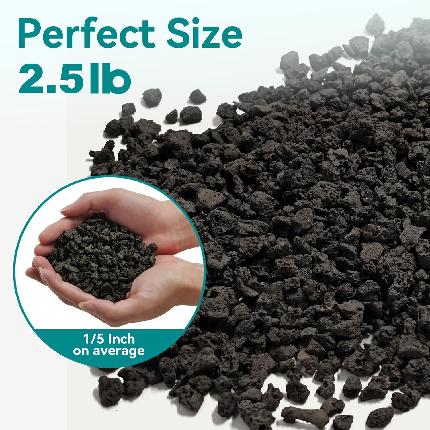 2.5lbs Small Lava Rocks for Plants Drainage, 1/5 Inch Black Gravel Mulch for House Plants, Succulent Rocks Pebbles for Planters,Cactus, Bonsai Tree, Pure Volcanic Rocks, Top-Dressing