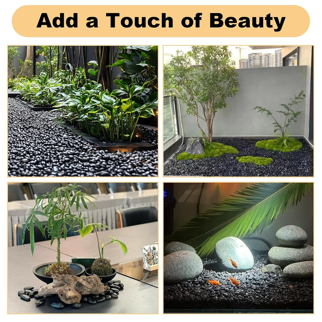 DAJAVE 10lb Black River Rocks for Landscaping, 1-2Inch Polished Pebbles for Plants, Natural Decorative River Pebbles, Large Plant Rocks for Gardens, Landscape, Outdoor Decoration