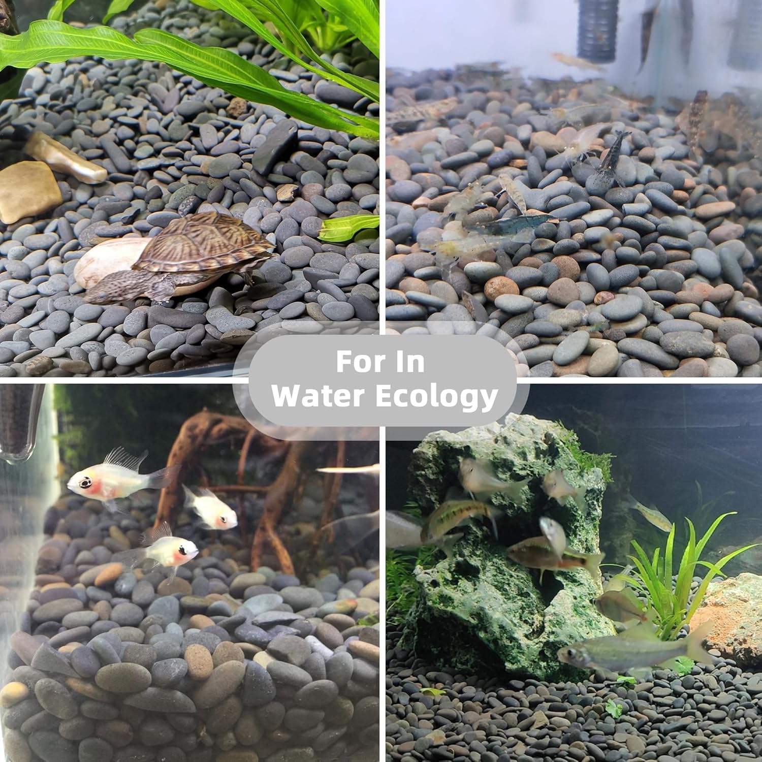 45lb River Rocks Pebbles for Plants & Succulents, Decorative Outdoor Landscaping Garden Rocks, Natural Small Mexican Beach Pebbles Aquarium Rocks Gravel for Fish Tanks Vase Yard Decor