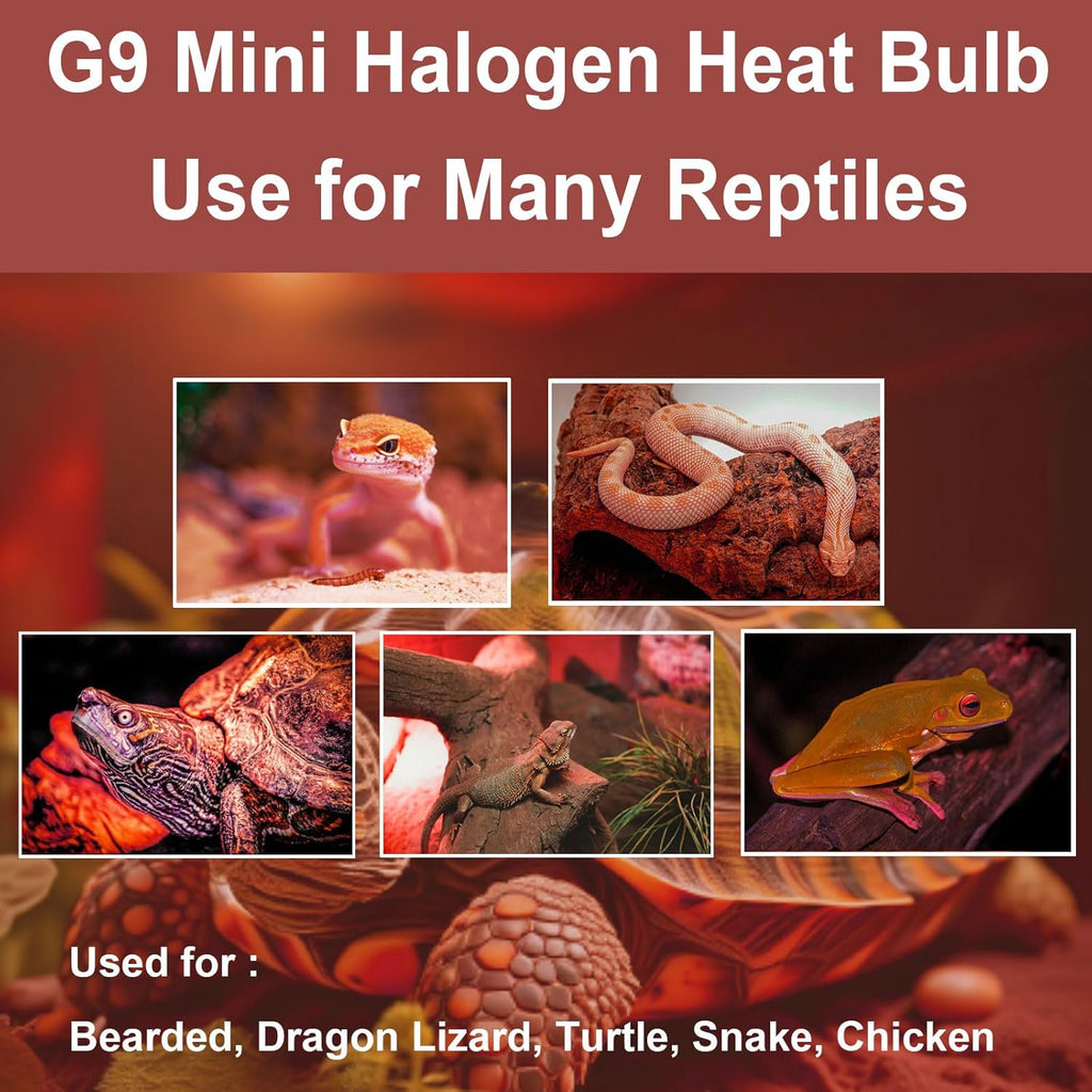 G9 Heat Lamp Bulbs for Reptile,Night Red, Mini Halogen Bulb 25W, Infrared Reptile Heat Lamp for Bearded Dragon Gecko Turtle Lizard, Pack of 3