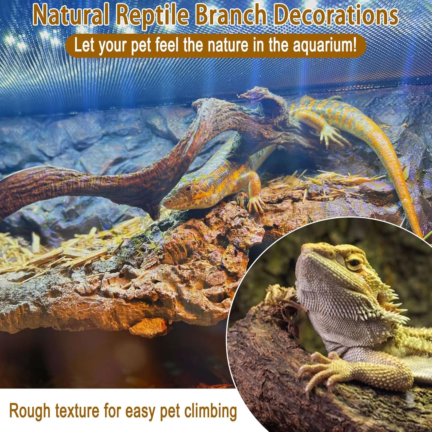 Reptile Decor 8PCS Natural Forest Branch Terrarium Habitat Decoration Lizard Climbing Tree Branch for Bearded Dragon Gecko Snake Frog Chameleon Spider