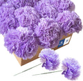 Royal Imports Artificial Carnations, Silk Faux Flowers, for Funeral Arrangements, Wedding Bouquets, Cemetery Wreaths, DIY Crafts - 100 Single 5" Stems - Lavender