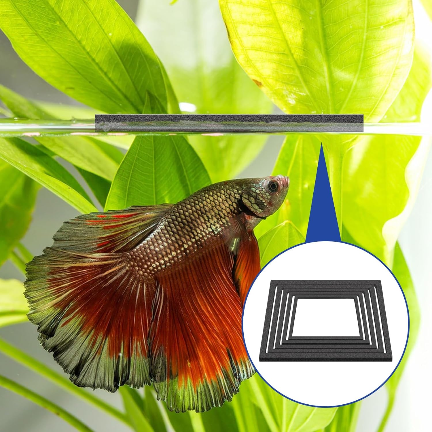 5Pcs Fish Black Foam Feeding Rings Set, Floating Aquarium Plant Corral, Square Feedings Rings for Fish Tank, Floating Plant Ring, Betta Fish Tank Aquarium Accessories