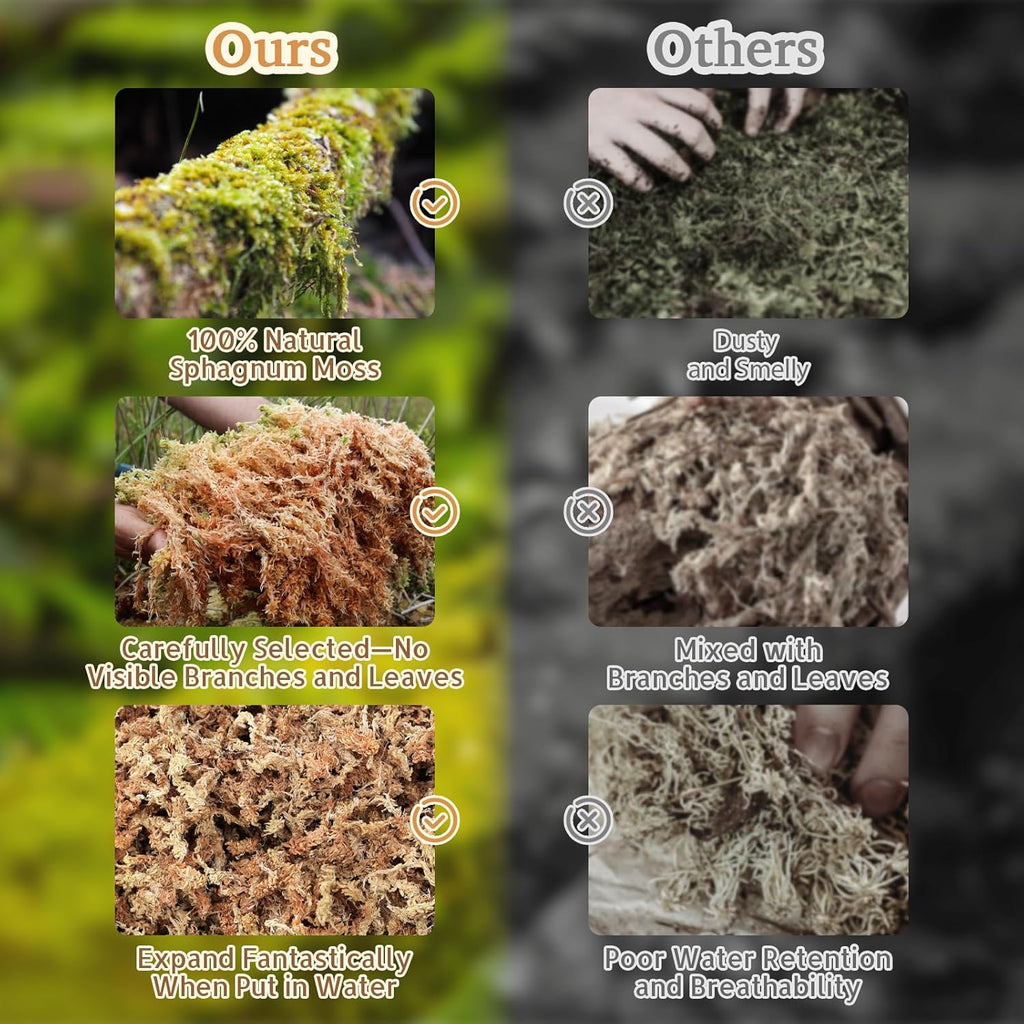 Riare 14OZ Premium Sphagnum Moss for Reptiles- 20QT Natural Reptile Moss Dried, Forest Live Moss for Terrarium, Frogs Snake Peat Moss Bedding for Leopard Gecko Turtle Anoles Salamanders Orchids