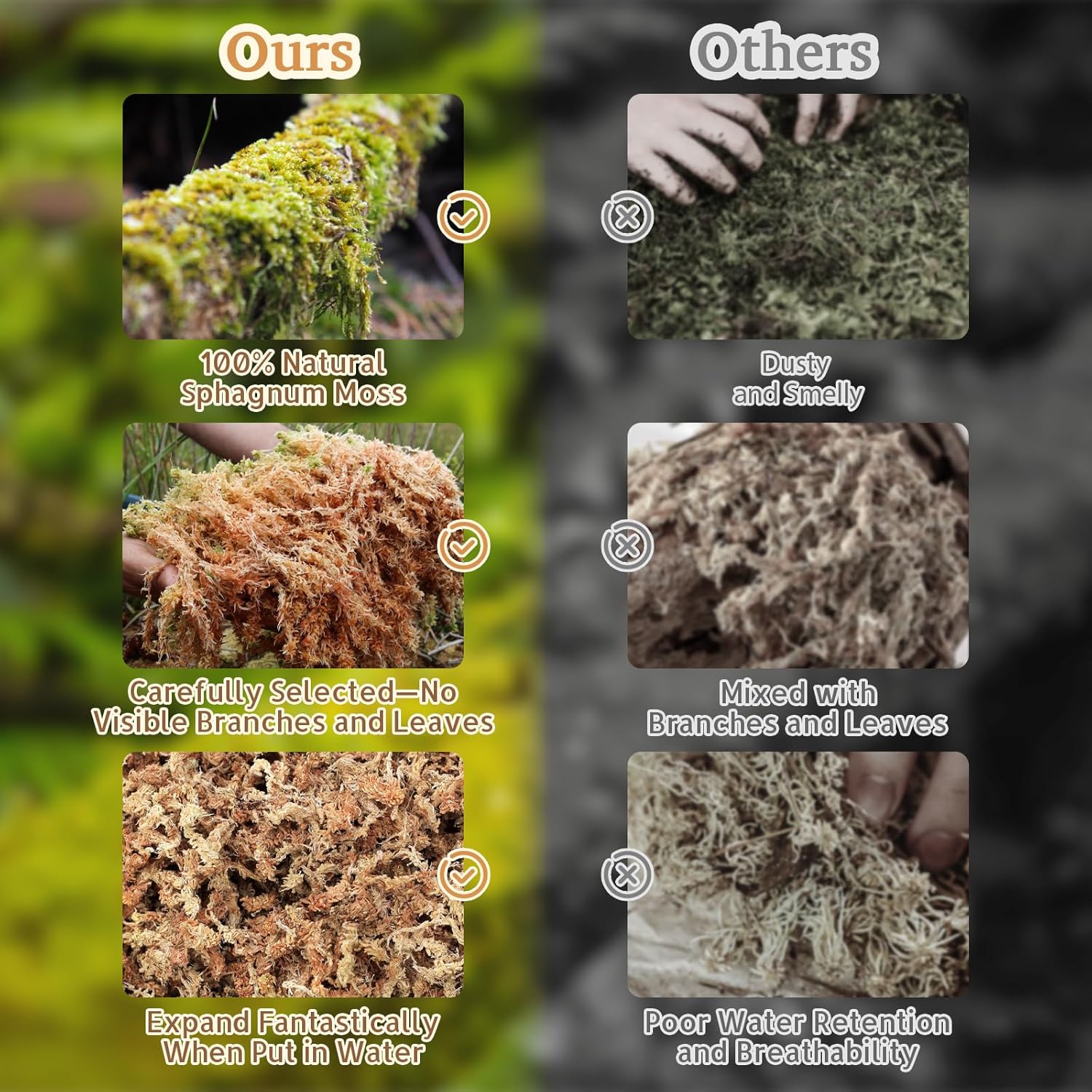 Riare 14OZ Premium Sphagnum Moss for Reptiles- 20QT Natural Reptile Moss Dried, Forest Live Moss for Terrarium, Frogs Snake Peat Moss Bedding for Leopard Gecko Turtle Anoles Salamanders Orchids