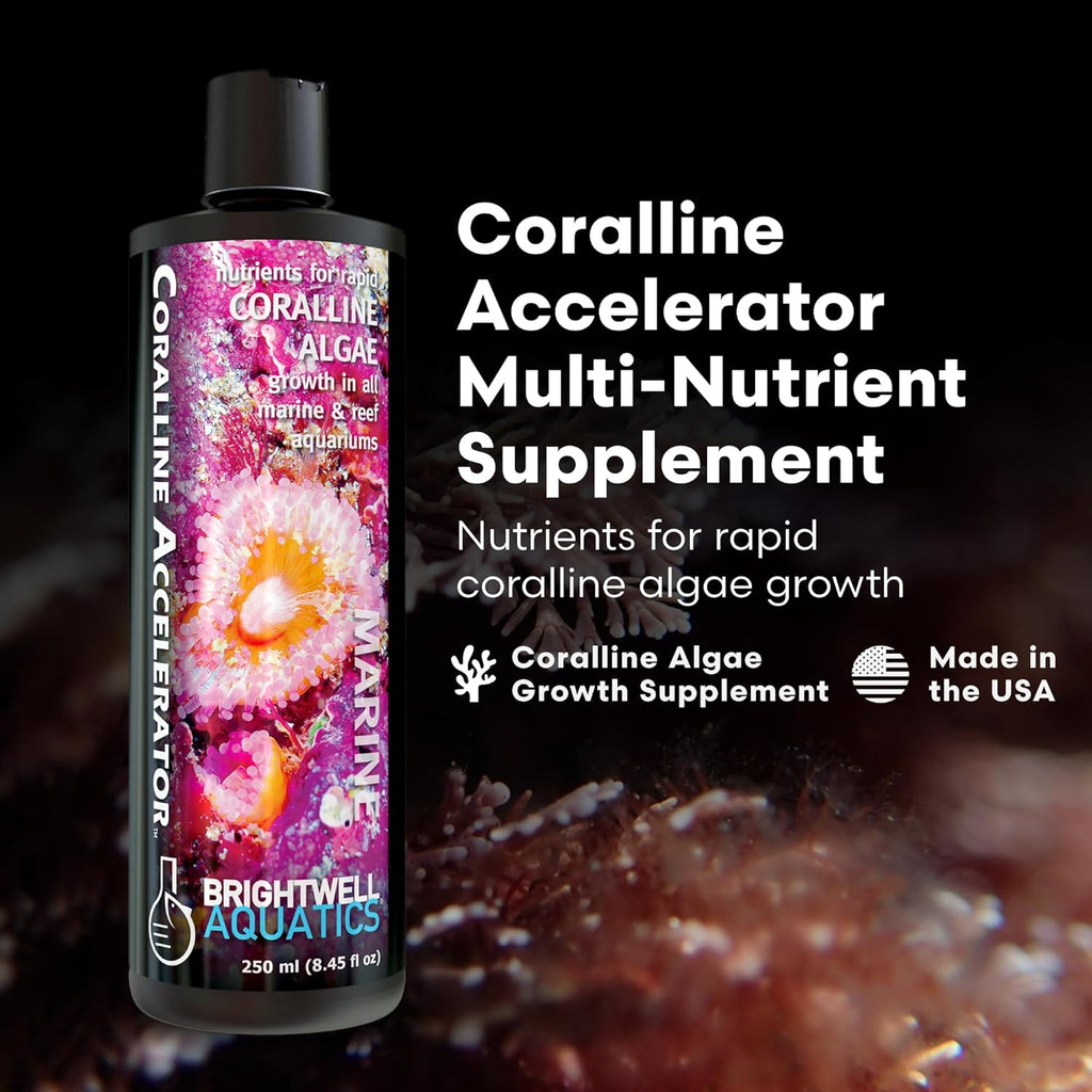 Brightwell Aquatics - Coralline Accelerator - Multi-Nutrient Supplement for Coralline Algae Growth in Marine and Reef Aquariums - Aquarium Water Treatments, 8.45 fl oz