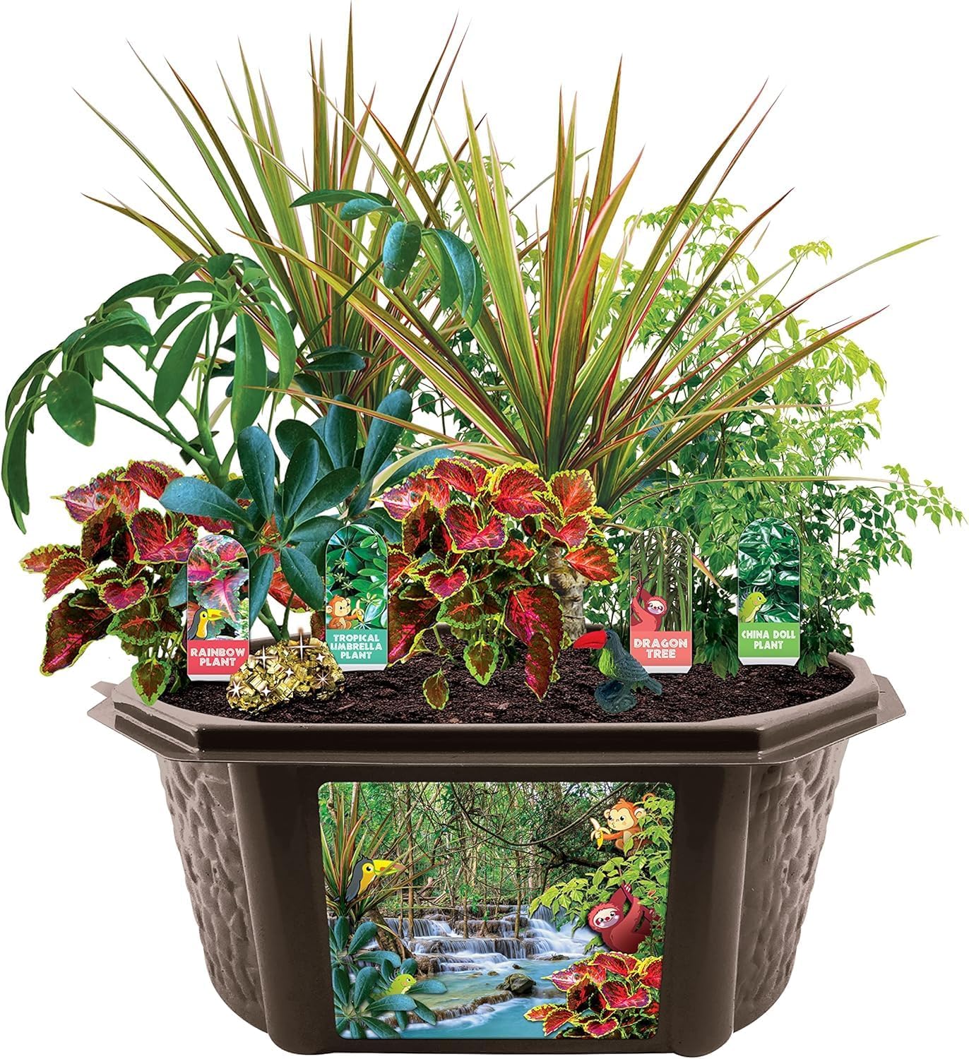 Toys by Biosphere Terrarium Starter Kit with Complete Supplies to Create Your Own Jungle! Indoor Plants for Home Displays and Gardens (Tropical Rainforest Jungle)