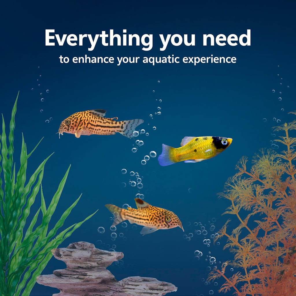 Aqueon Aquarium Starter Kit with Smart Clean Filtration and LED Lighting, Freshwater and Saltwater Fish, Perfect for Tetras, Guppies, Platies, 10-Gallon