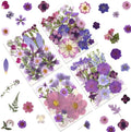 100P Purple Pressed Flowers – Real Dried Flowers for Crafts in Rich Violet Tones, Ideal for Resin Art, DIY Projects, Jewelry & Candle Making – Tweezers Included