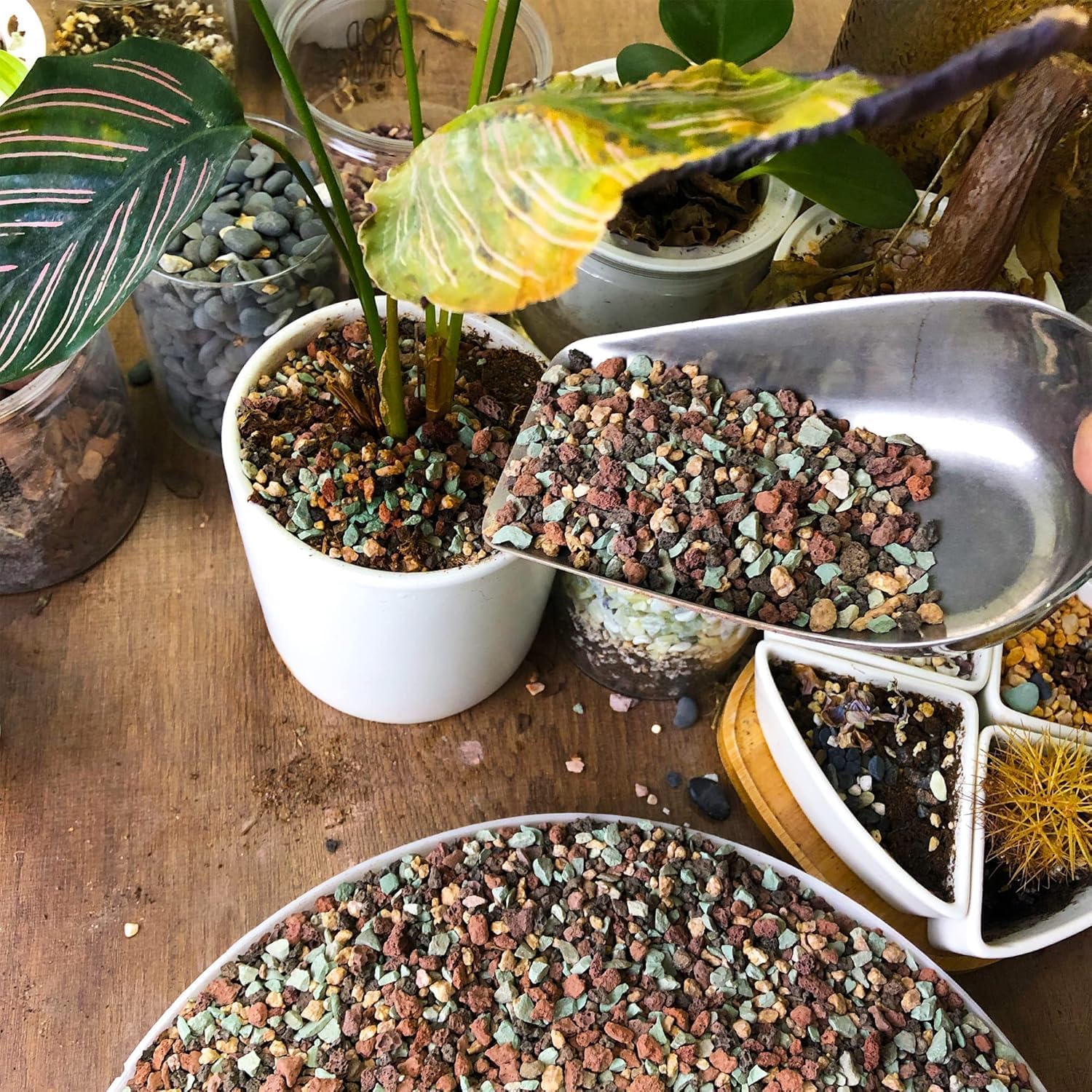 45lb Mix Lava Rocks for Plants in Door -Gravel Pebbles for Bonsai Succulent Cactus Potting Soil and Vase Fillers, Fairy Gardening,Top Dressing