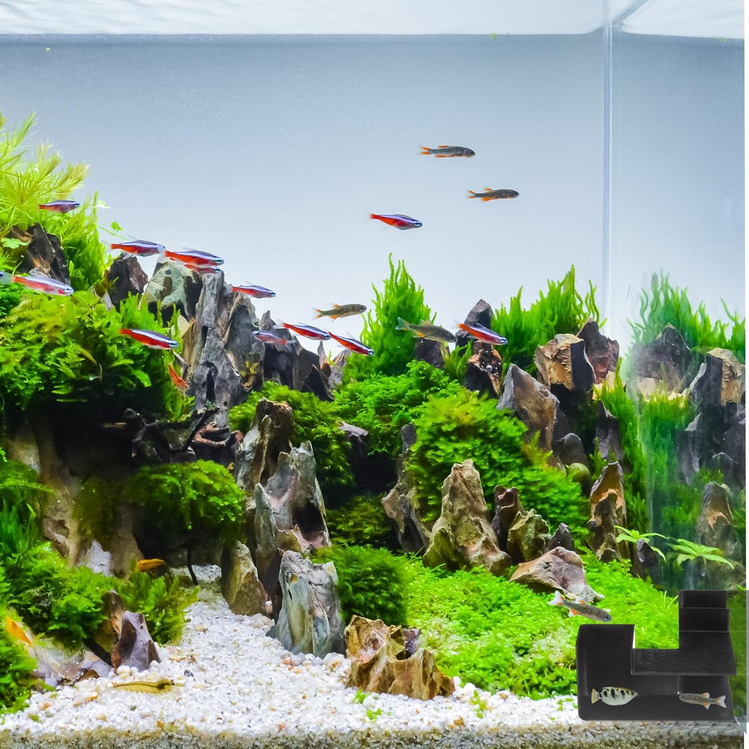 Nuanchu 2 Pcs 5.91" Aquarium Underground Tunnel Large ABS Plastic Fish Shrimp Hideout for Aquariums Black Shrimp Cave Fish Tank Tunnel for Fish Tank Accessories