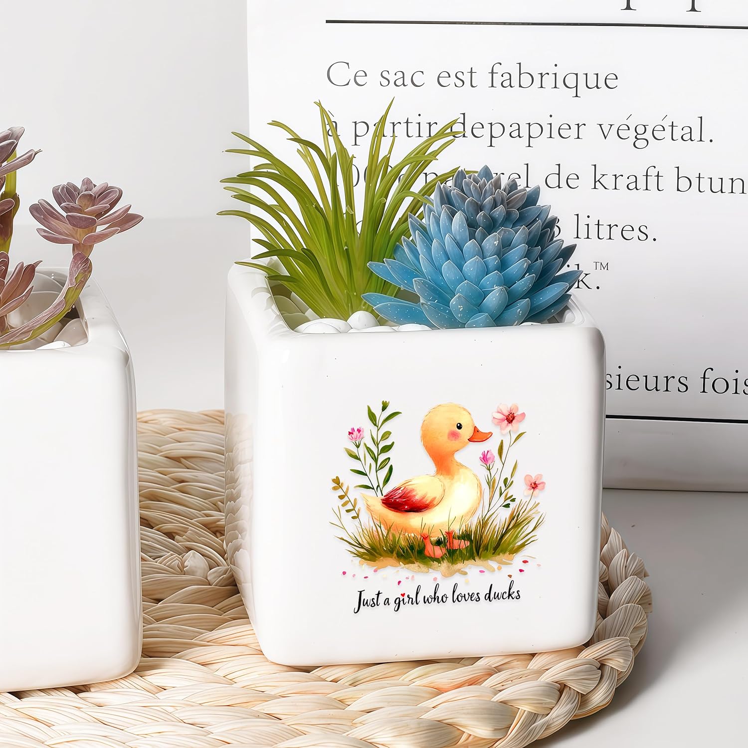 Duck Succulent Planter Flower Plant Pot Small, Gifts for Women Teens Girls Kids, Duck Lovers Themed Stuff Accessories Things Decor Merch, Home Office Table Desk Decoration!