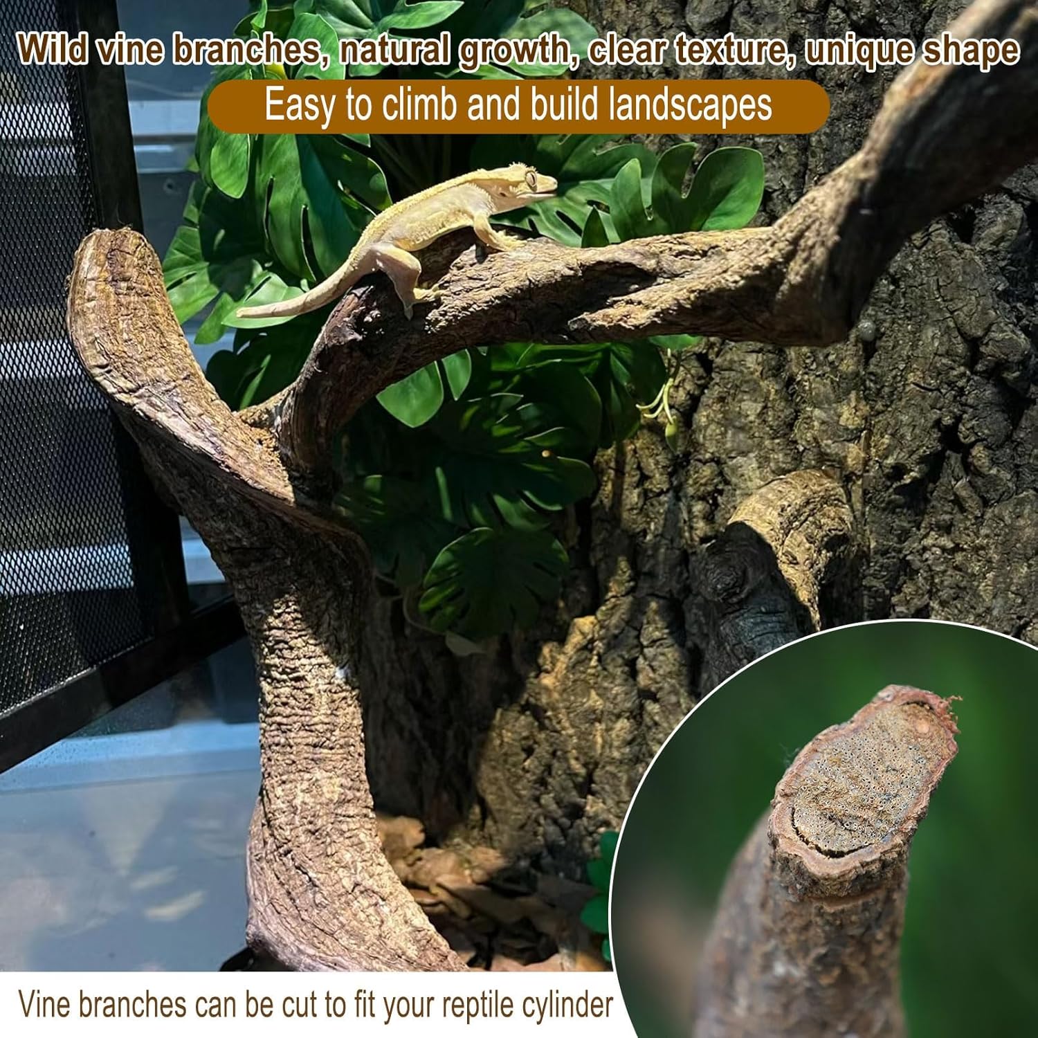 Reptile Decor 4PCS Natural Forest Branch Terrarium Habitat Driftwood Decoration Lizard Climbing Tree Branch for Bearded Dragon Gecko Snake Frog Chameleon Spider