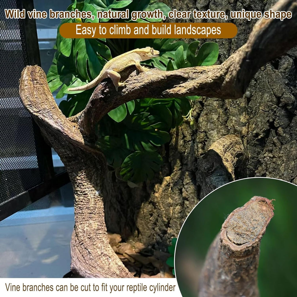 Reptile Decor 8PCS Natural Forest Branch Terrarium Habitat Decoration Lizard Climbing Tree Branch for Bearded Dragon Gecko Snake Frog Chameleon Spider