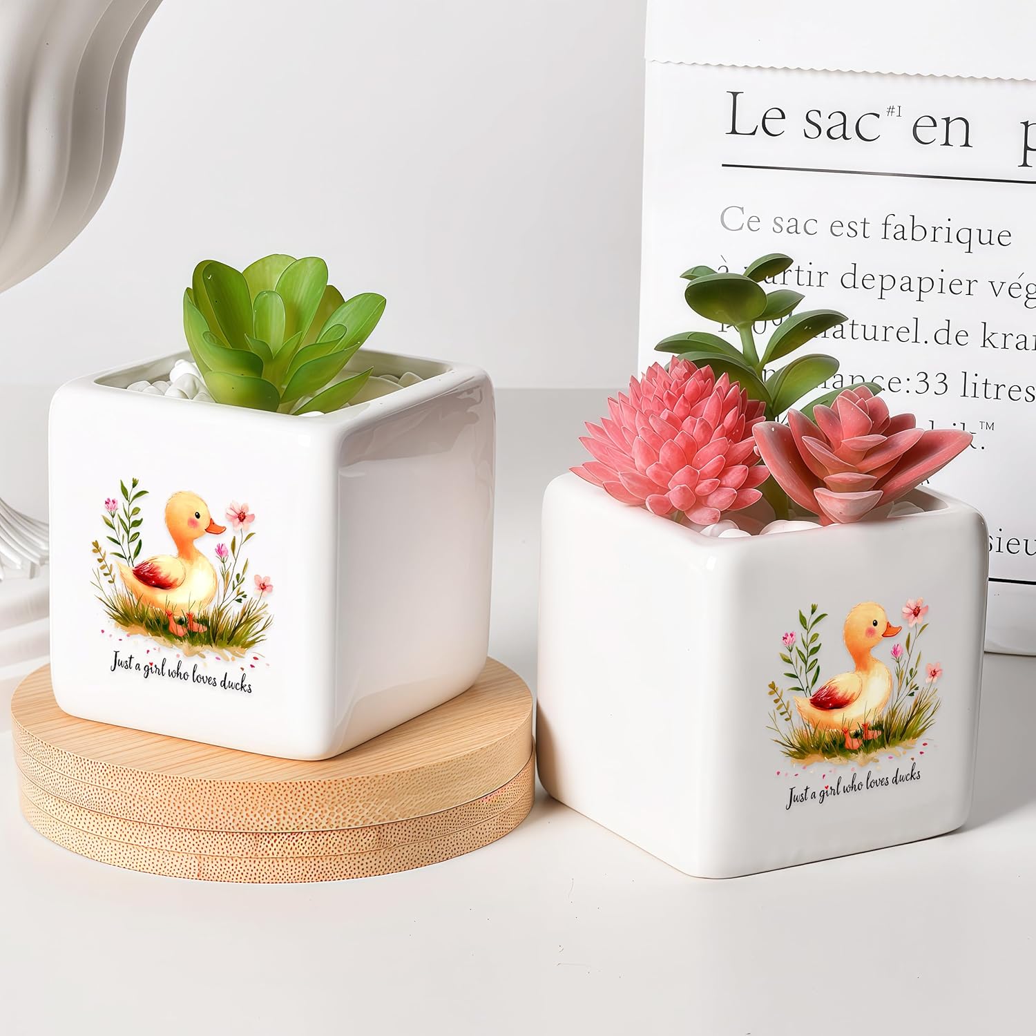 Duck Succulent Planter Flower Plant Pot Small, Gifts for Women Teens Girls Kids, Duck Lovers Themed Stuff Accessories Things Decor Merch, Home Office Table Desk Decoration!